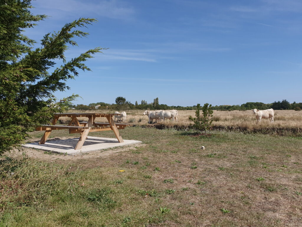 CAMPING LE BATEAU NATURE