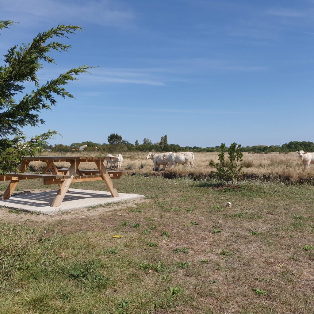 CAMPING LE BATEAU NATURE